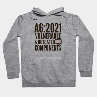 Secure Coding OWASP A6 2021 Vulnerable And Outdated Components Hoodie